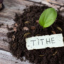 Stewardship without Assumption