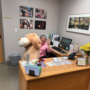 Volunteer Receptionists